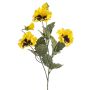 Pansy spray yellow 55cm