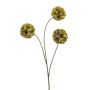 Scabiosa spray green 74cm