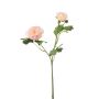 Ranunculus spray lt pink 46cm