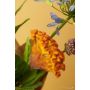 Celosia spray yellow/orange 62cm