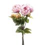 Peony bundle x3 lt purple 50cm