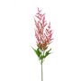 Astilbe spray dk pink 90cm