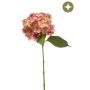 Hydrangea spray old pink 50cm
