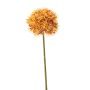Allium spray orange 63cm