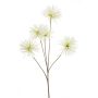 Anemone seed spray cream 97cm