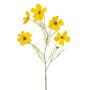 Cosmos spray yellow 75cm