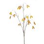 Maple seed spray orange 100cm