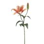 Lily spray orange 56cm