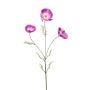 Cosmos spray lt purple 80cm