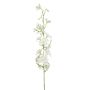 Delphinium spray cream 88cm