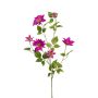 Clematis spray fuchsia 110cm