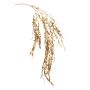 Epiphyllum spray gold 105cm
