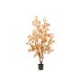 Blossom cherry tree peach 135cm