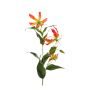 Gloriosa spray orange 75cm
