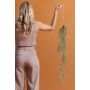 Tillandsia hanging deco  90cm