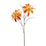 Gloriosa spray orange 58cm