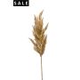 Pampas grass spray beige 92cm
