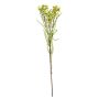 Wax flower spray green 78cm