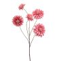 Zinnia spray pink 88cm