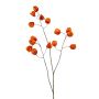Physalis spray orange 80cm