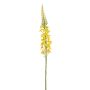 Lysimachia spray yellow 66cm