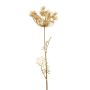 Dill spray gold 66cm