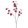 Phalaenopsis berry spray x3 red 85cm