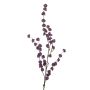 Callicarpa spray purple  125cm
