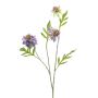 Scabiosa spray x3 purple 62cm