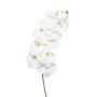Phalaenopsis spray white 100cm