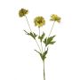 Centaurea spray green 75cm