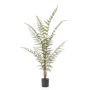 Fern forest plant x13 120cm