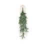 Fern staghorn hanging bush grey 80cm