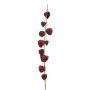 Physalis spray burgundy 97cm