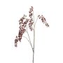 Lepidium spray burgundy 110cm
