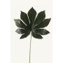 Fatsia leaf 55cm dk green