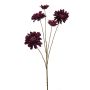 Zinnia spray purple 90cm