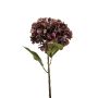 Hydrangea spray purple/gold 55cm
