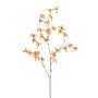 Forsythia spray x3 peach/gold 85cm