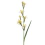 Gladiolus spray yellow 104cm