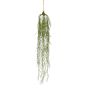 Rhipsalis hanging deco 90cm