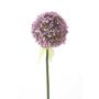 Allium spray lt purple 70cm
