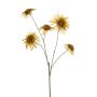 Chrysantum spider spray mustard 110cm