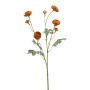 Ranunculus mini spray orange 65cm