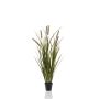 Grass cattail x6 85cm