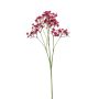 Gypsophila spray fuchsia 68cm
