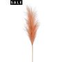 Pampas stem peach 115cm