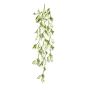 Scindapsus hanging spray green/white 85cm