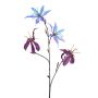 Gloriosa spray purple glamour 78cm