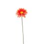 Gerbera mini spray orange 50cm